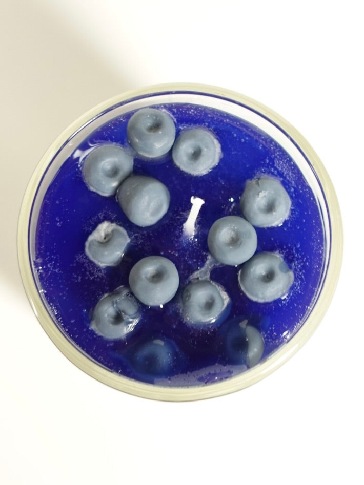 Blueberry Cream Dream Soy Candle – Blueberry, Vanilla & Coconut Blend